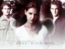 Cr�ations avec le groupe - Dawson's Creek