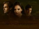 Cr�ations avec le groupe - Dawson's Creek
