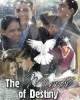 Cr�ations avec le groupe - Dawson's Creek