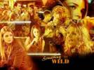 Cr�ations diverses - Dawson's Creek